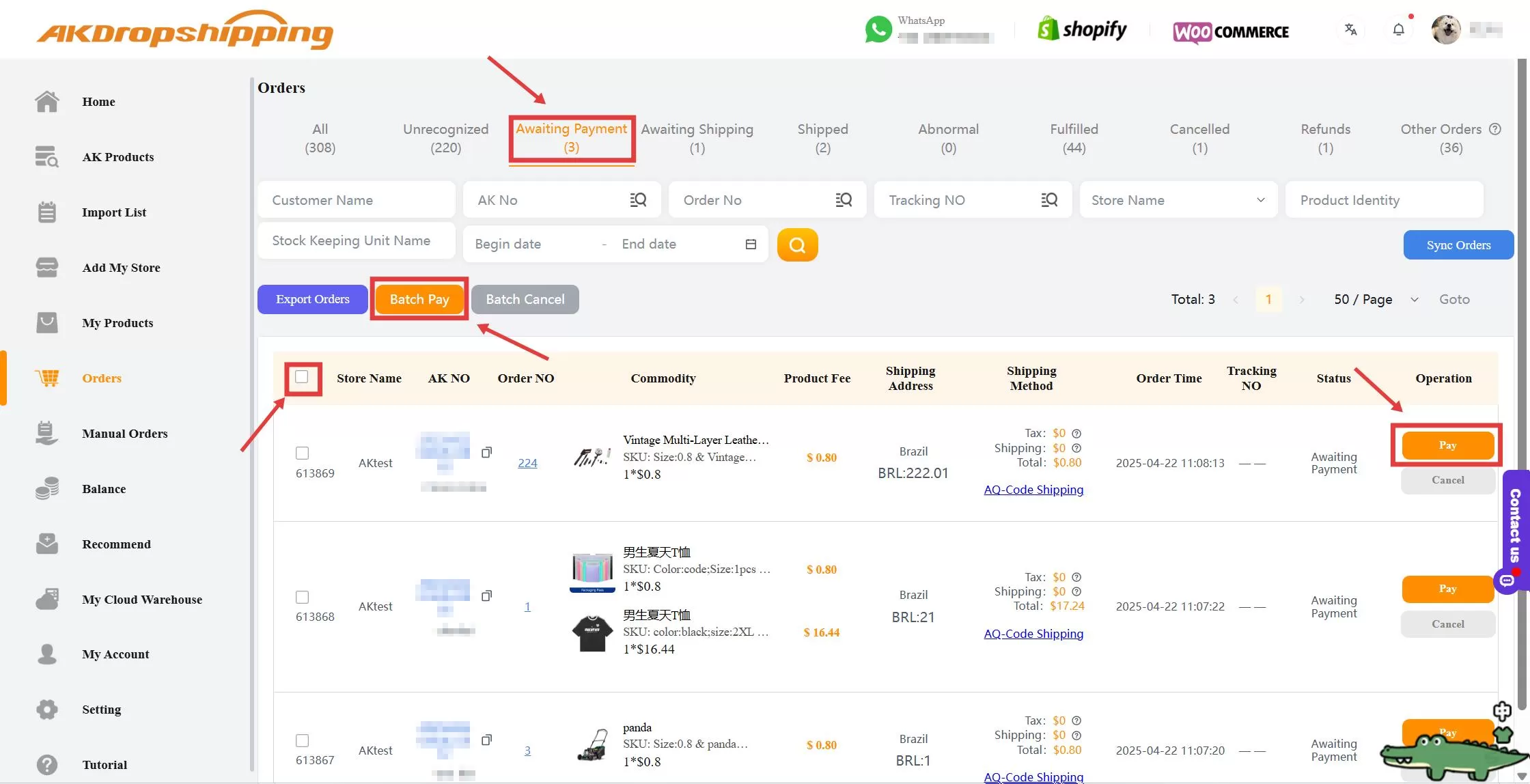 How to Work with AK Dropshipping?